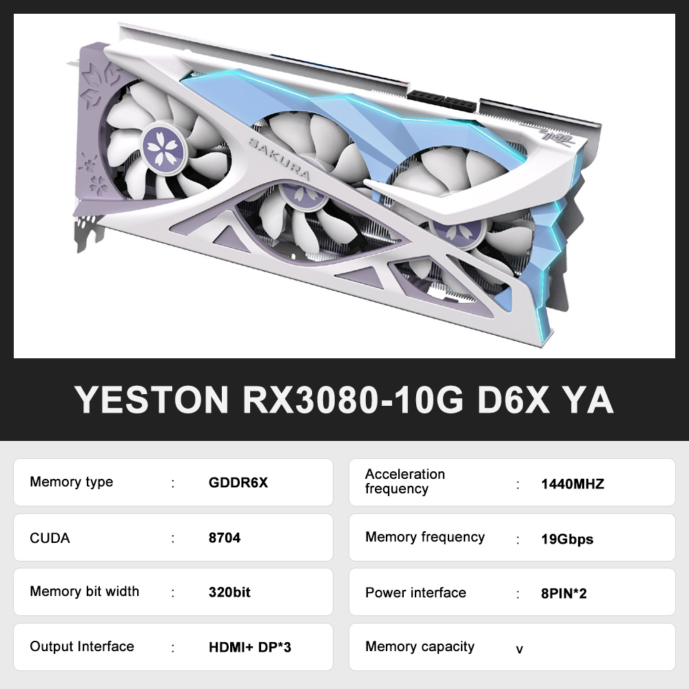RX3080-10G D6X YA